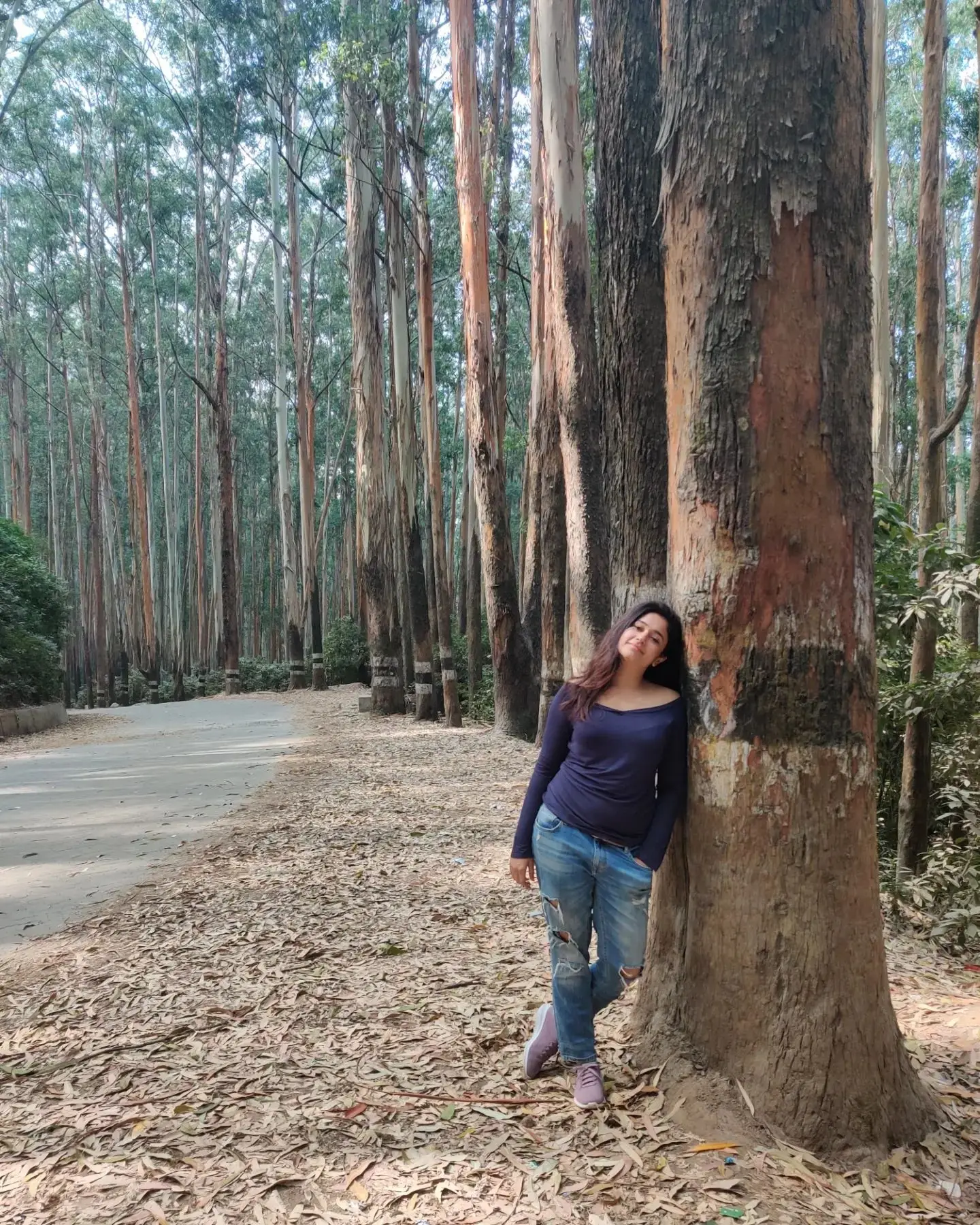 Poonam Bajwa Mesmerizing Looks Beautiful In Blue Top Pant